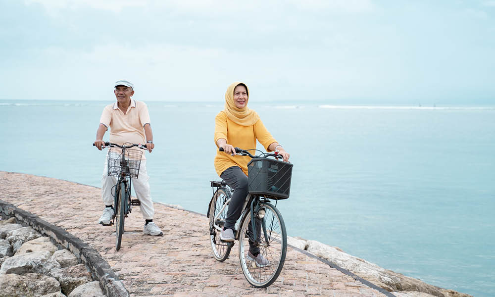 Investment Funds Your Options Standard Life